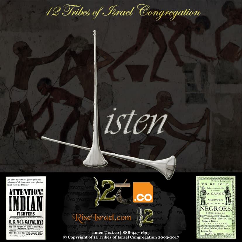 12 Tribes of Israel Congregation | 12T.CO cover