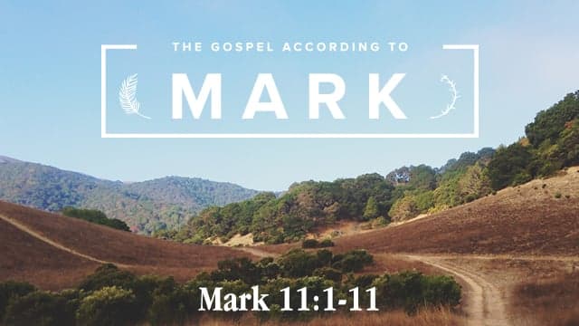 [MARK] 35. David's King - Paul Tripp: Sermon Podcast cover