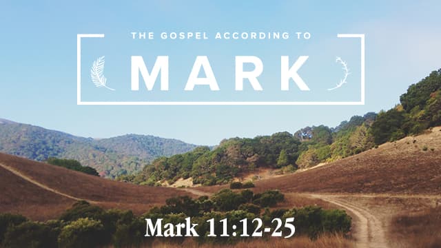 [MARK] 36. The Temple and the Tree - Paul Tripp: Sermon Podcast cover