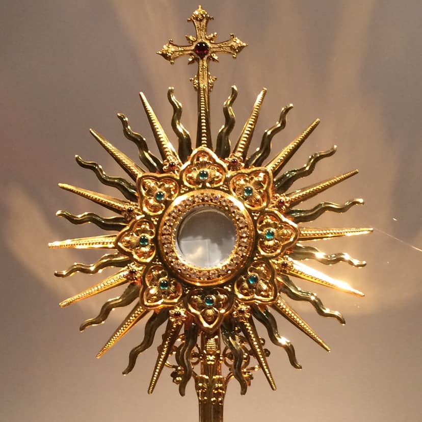 Daily Bread by Fr. Daniel Poovannathil cover