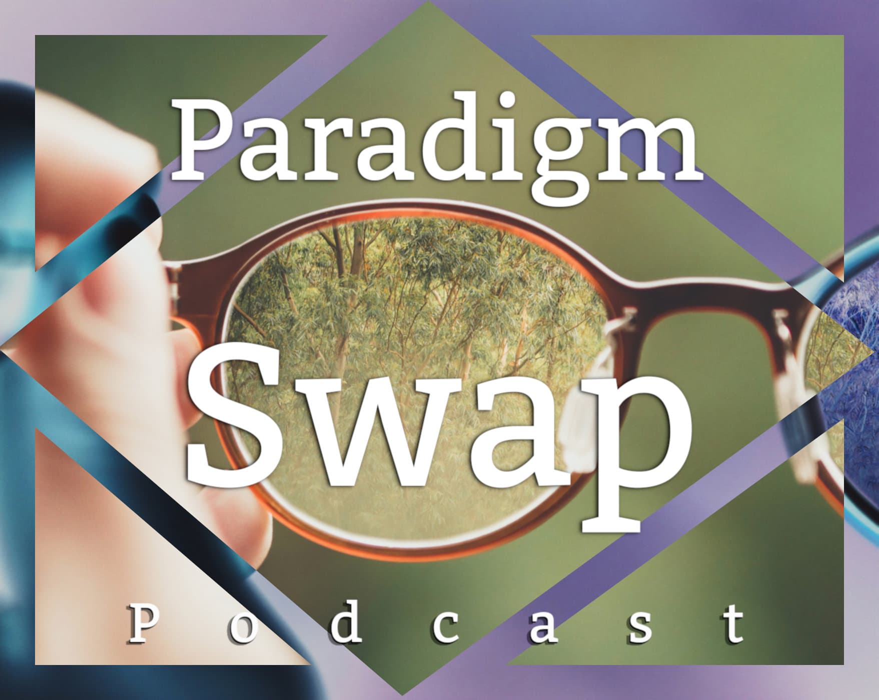 Paradigm Swap cover