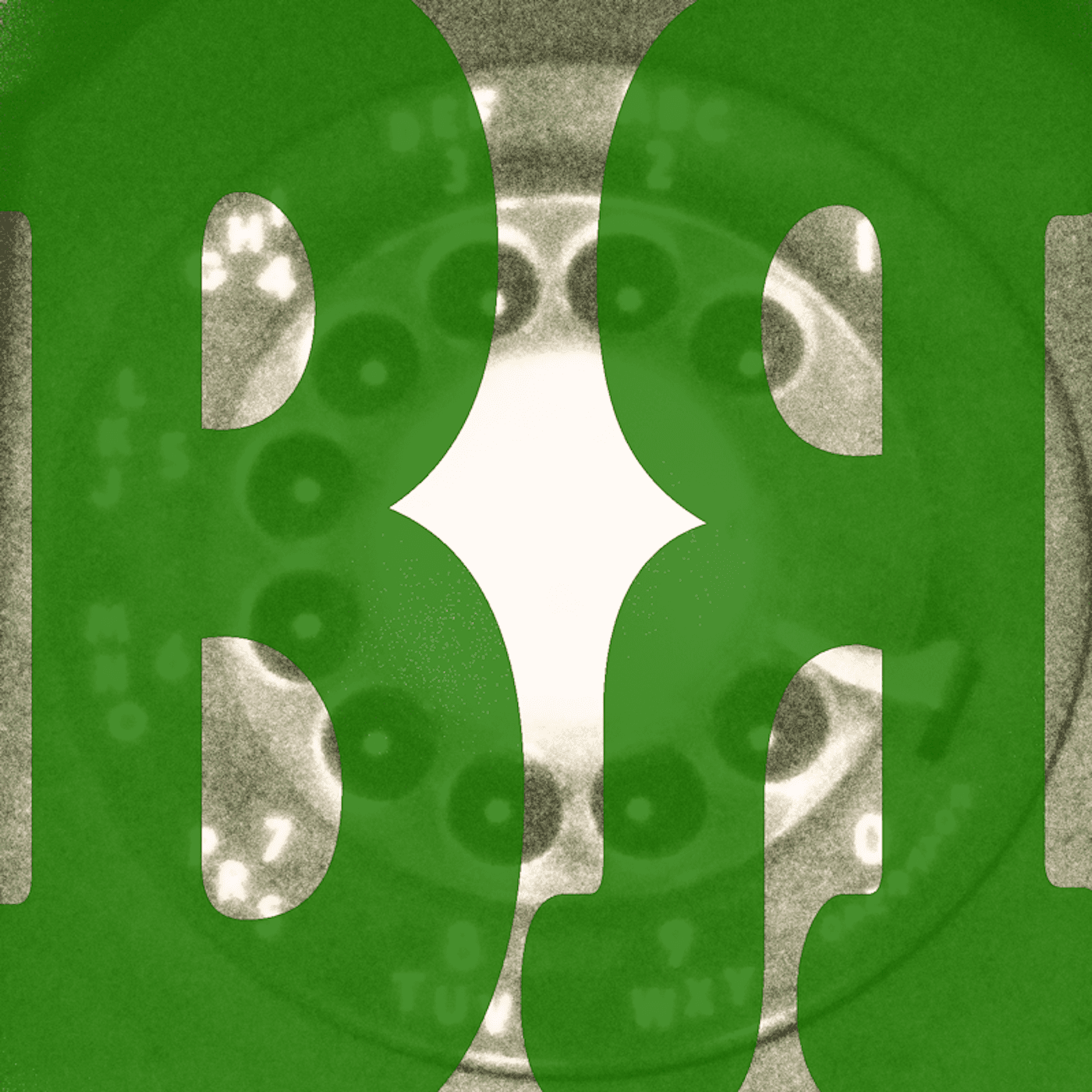 Born Rotary cover