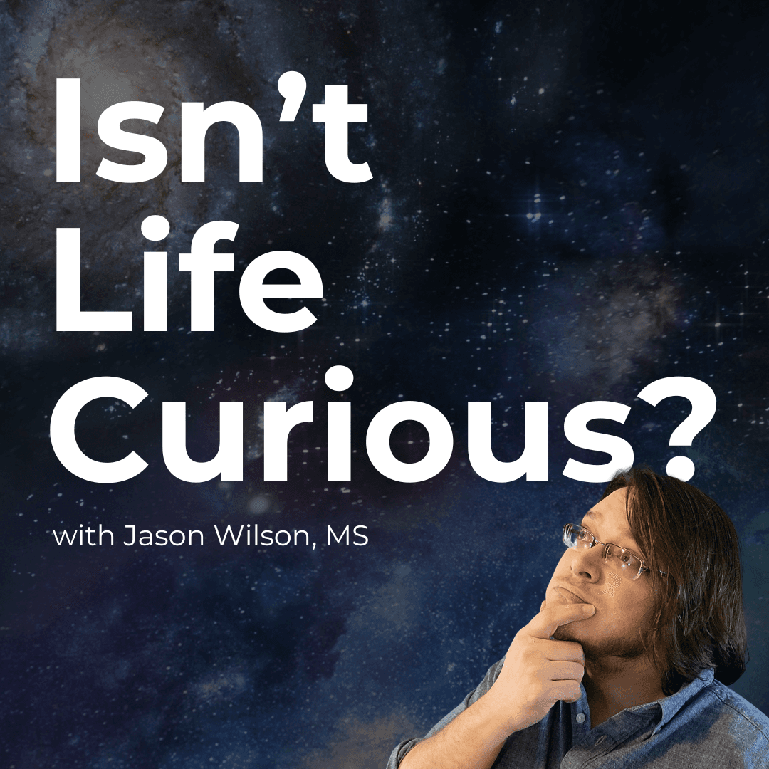 Isn't Life Curious? cover