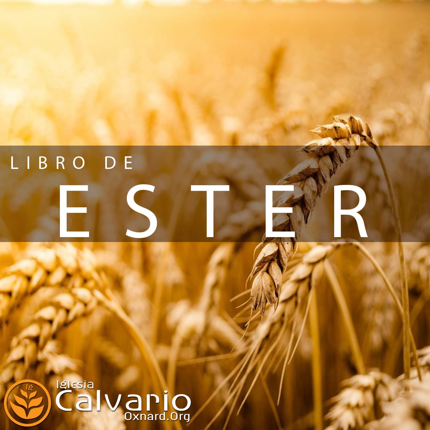 Esther cover