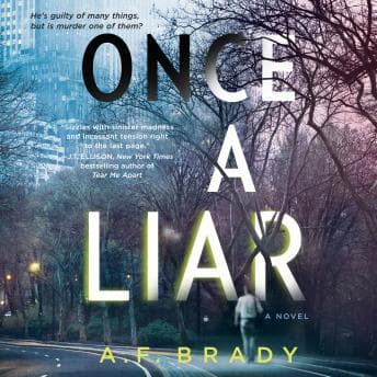 Once a Liar: A Novel Audiobook - Best Audiobooks of Mystery Fantasy cover