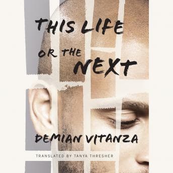 This Life or the Next: A Novel Audiobook — Best Audiobooks of Mystery Fantasy cover