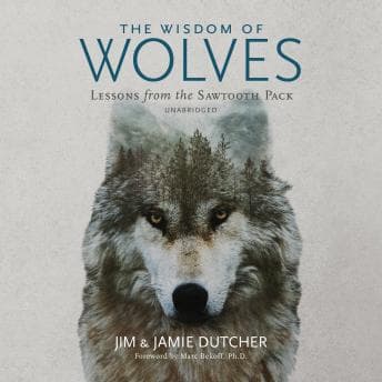 Wisdom of Wolves: Lessons from the Sawtooth Pack Audiobook — Best Audiobooks of Suspense cover
