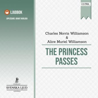 Princess Passes Audiobook - Incredible Audiobooks of Drama cover