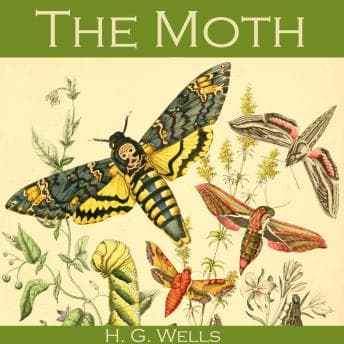 Moth Audiobook - Amazing Audiobooks of Western cover