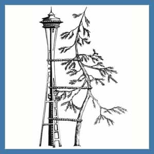 Zen's University of Washington Orthopaedics and Sports Medicine Pod Experiment cover