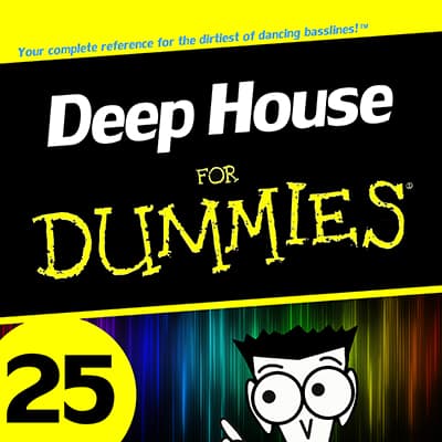 Deep House for Dummies 25 - Kill Yourself cover