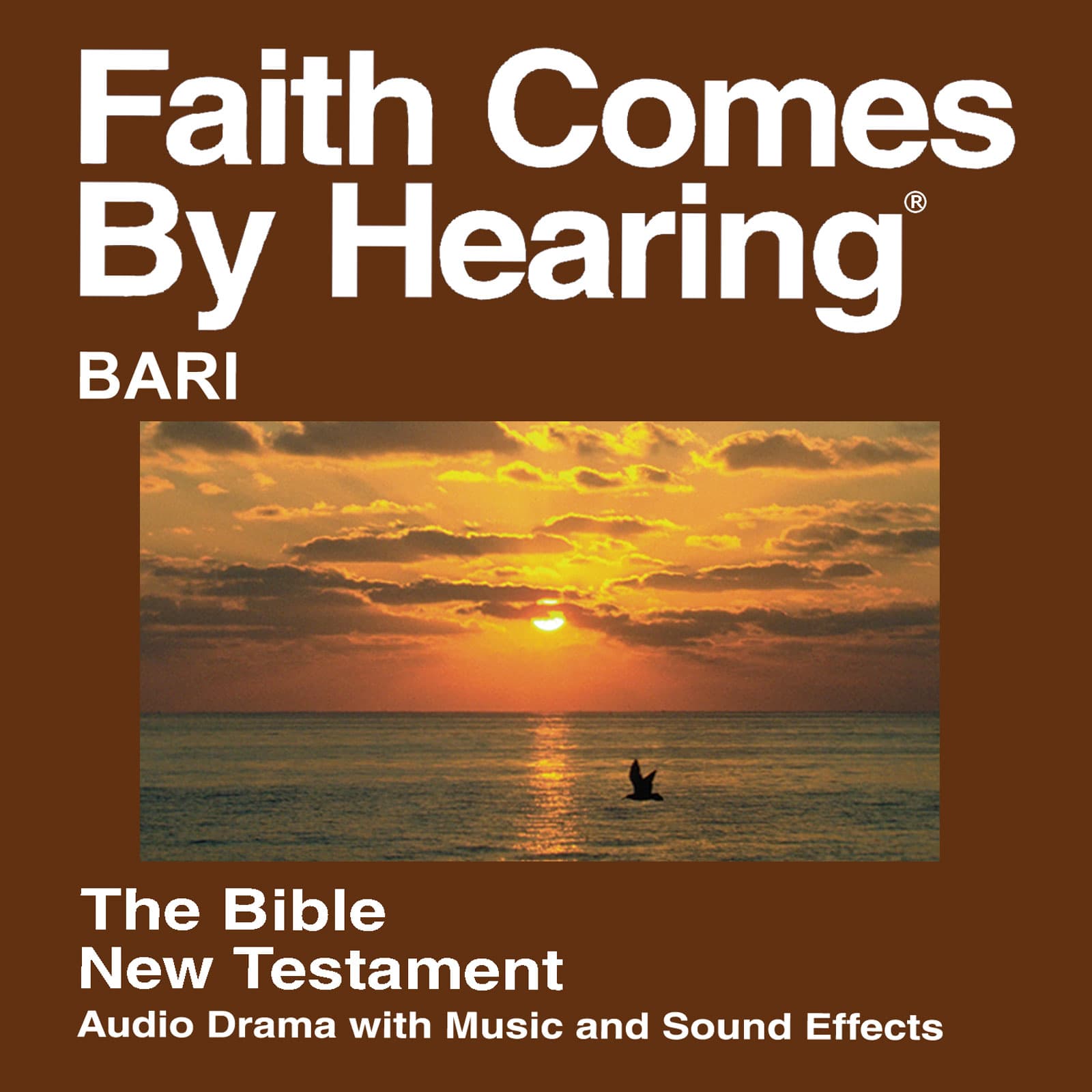Bari Bible (Dramatized) cover