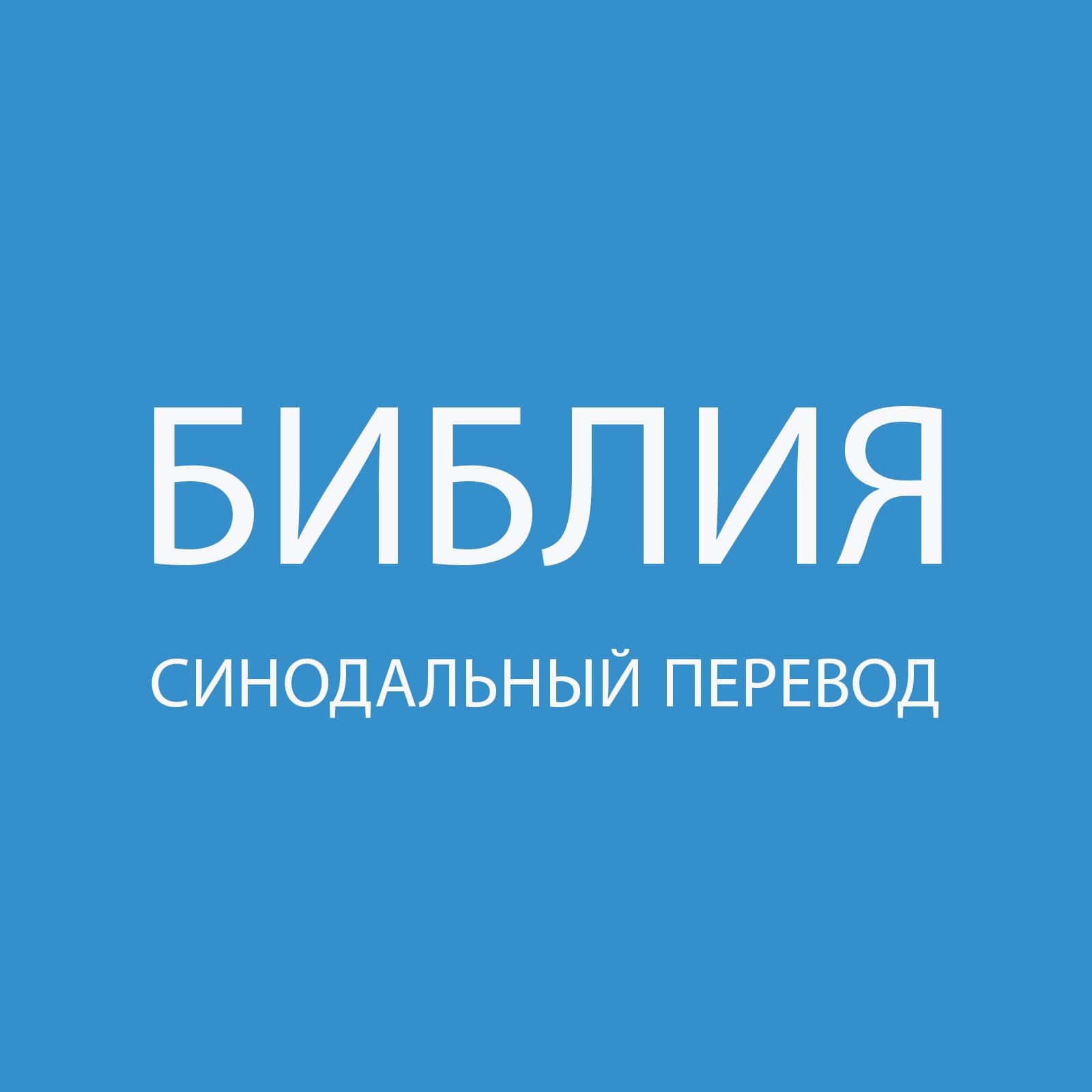 Русский Библии (Ветхий Завет) - Russian Bible 1876 Synodal Bible cover