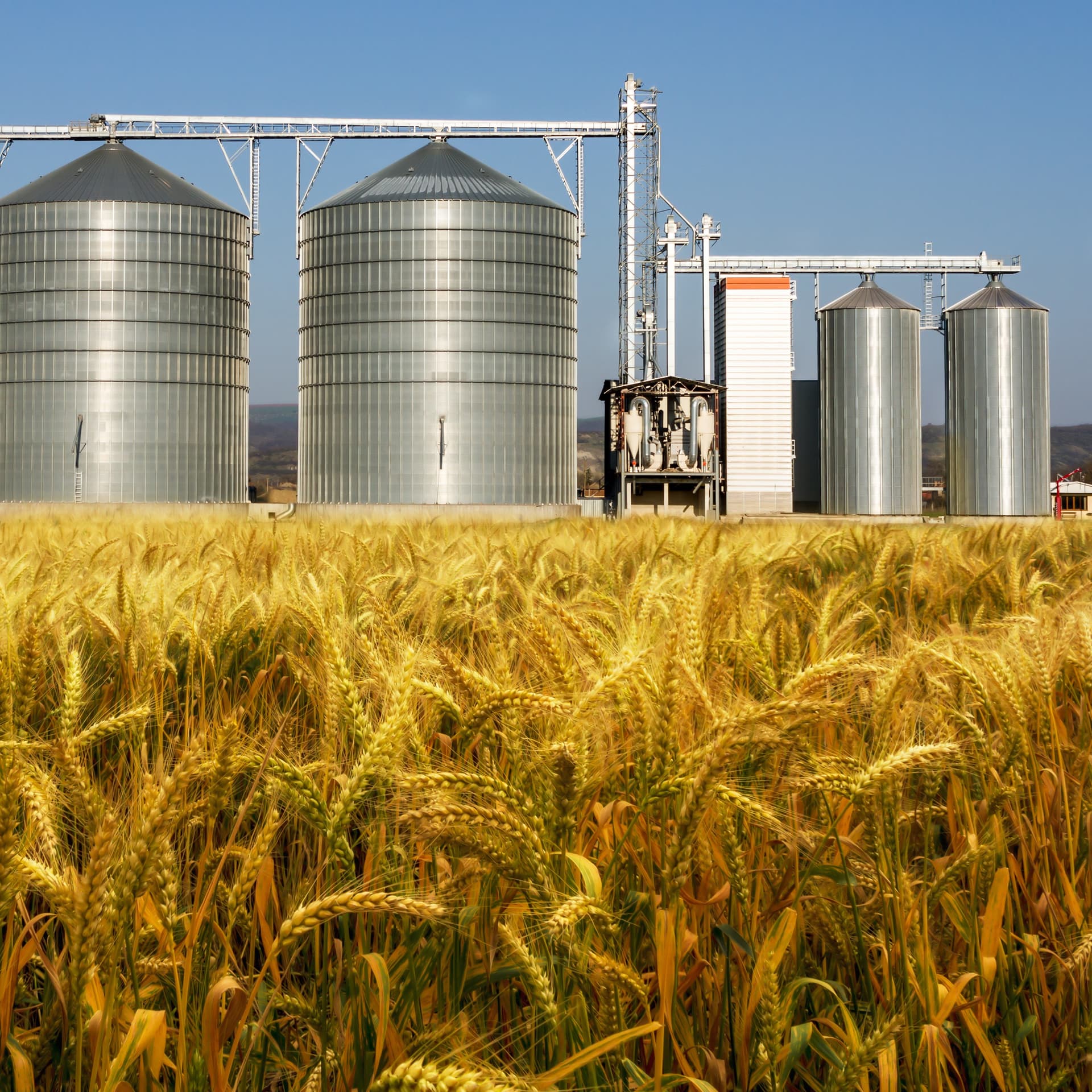 Agri Commodities Monthly September 2017: Watching, Waiting, Yield Debating - RaboResearch Agri Commodities cover