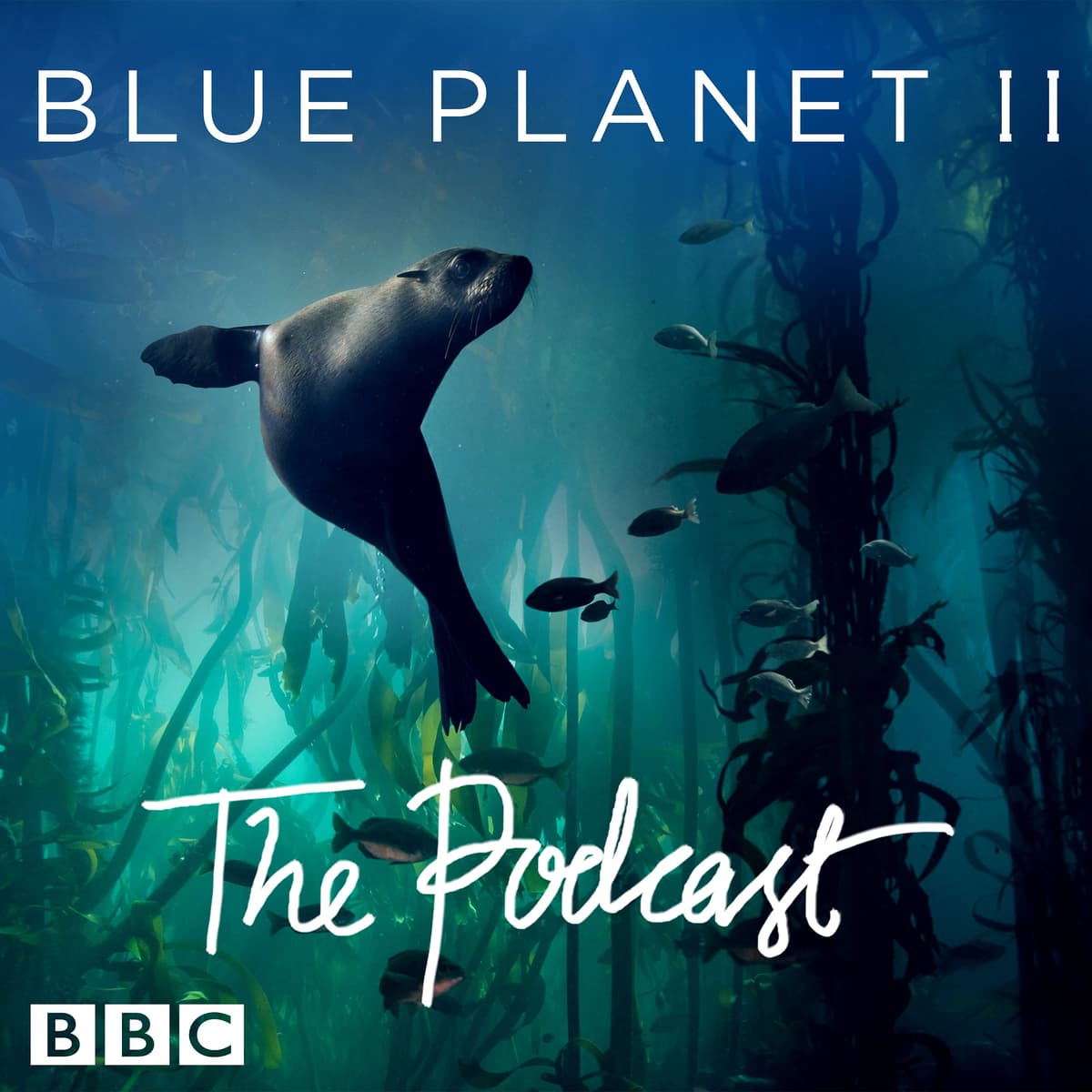 Podcast cover