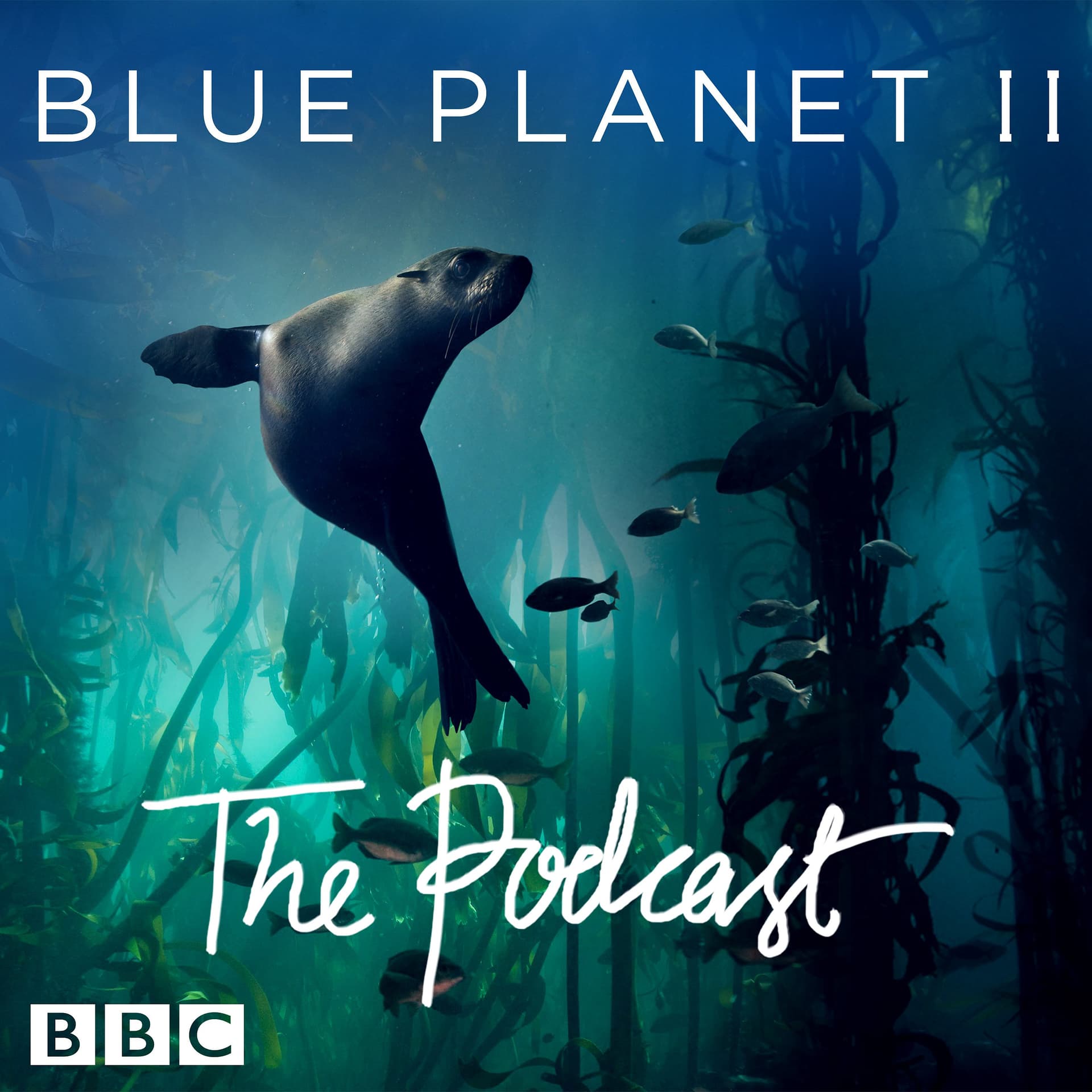 Episode 7: Do Everything What Is Good - Blue Planet II: The Podcast cover