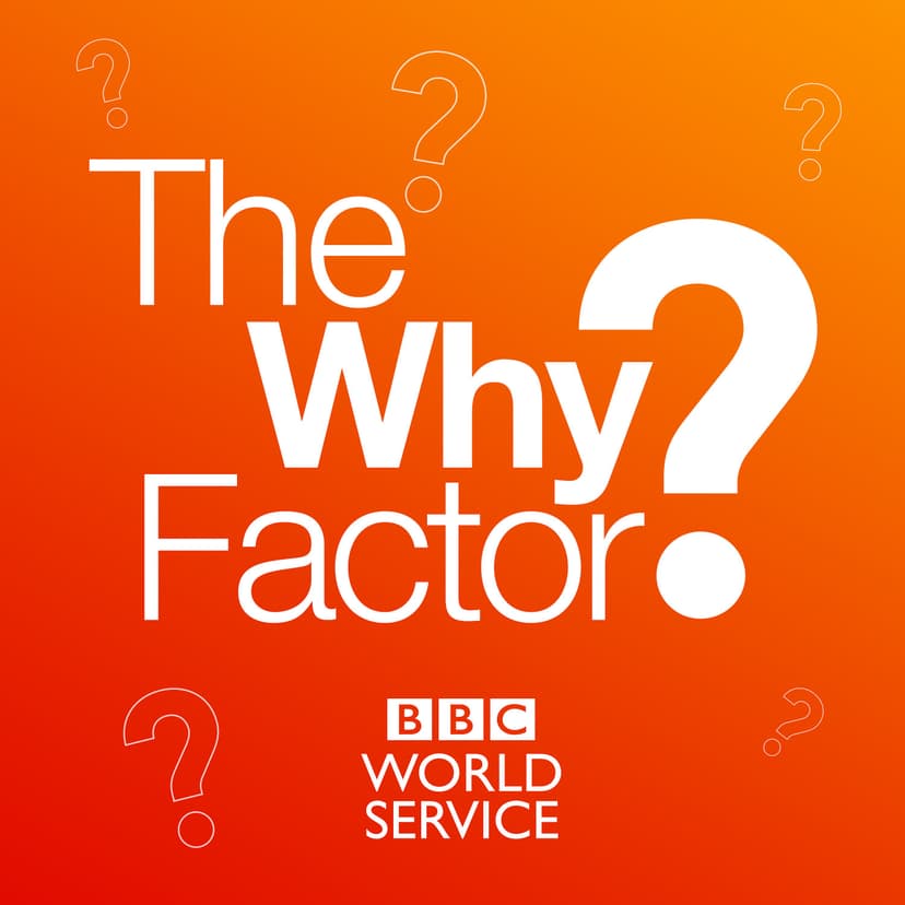 The Why Factor cover