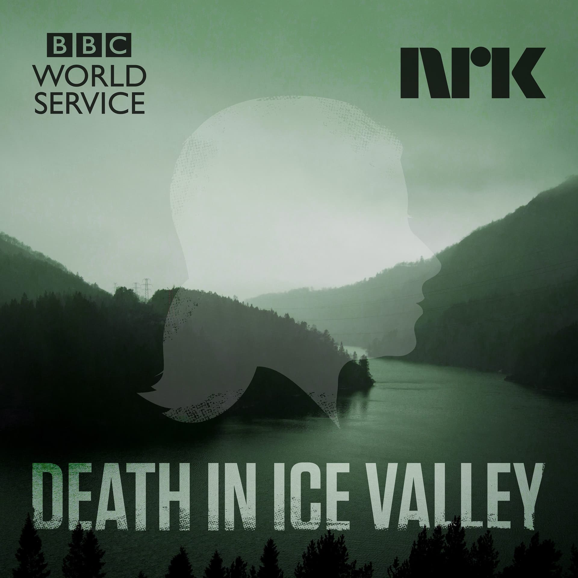 8. Case Closed - Death in Ice Valley cover