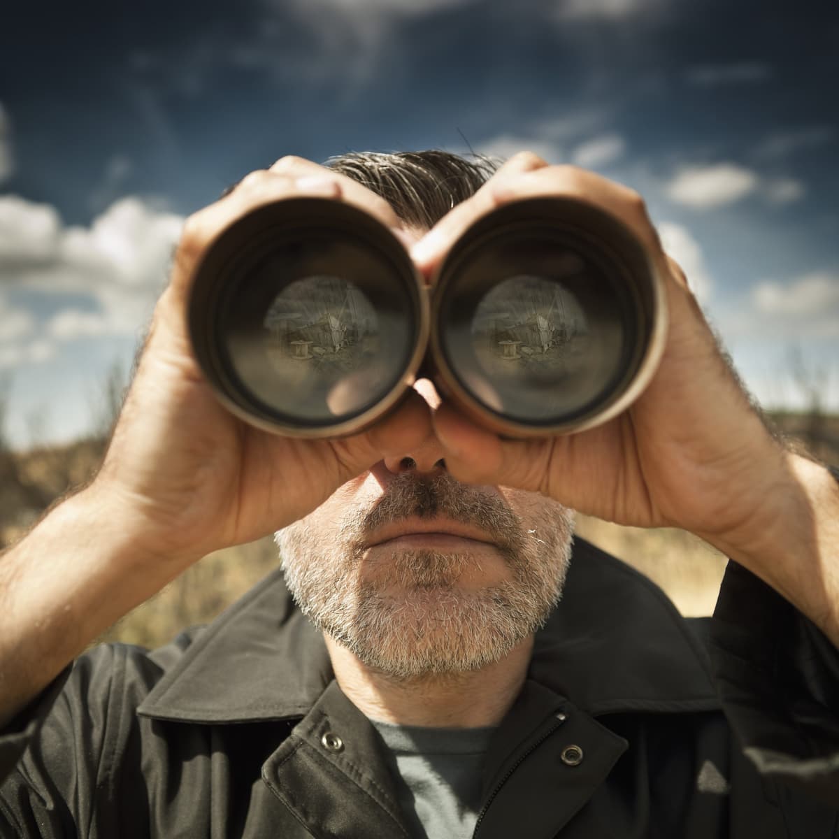 Plane, Train and Bird Spotting - The Why Factor cover