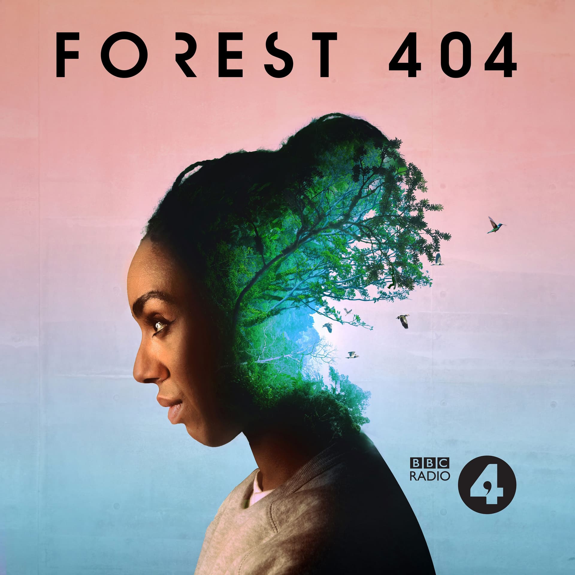 Forest 404 cover
