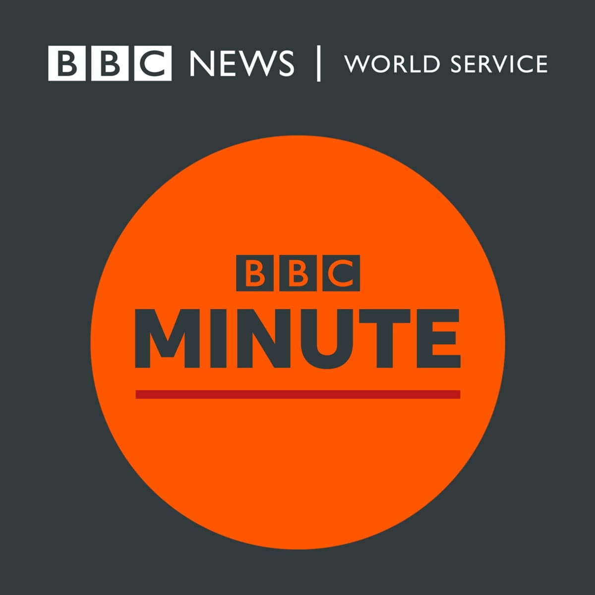 18:00 GMT - BBC Minute cover