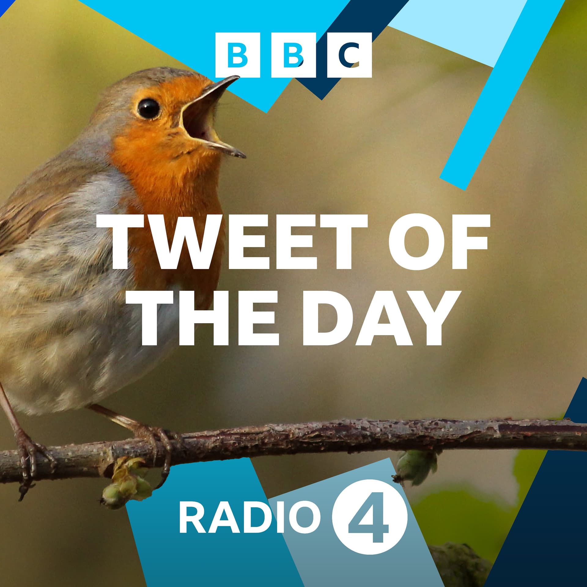 Tweet of the Day cover