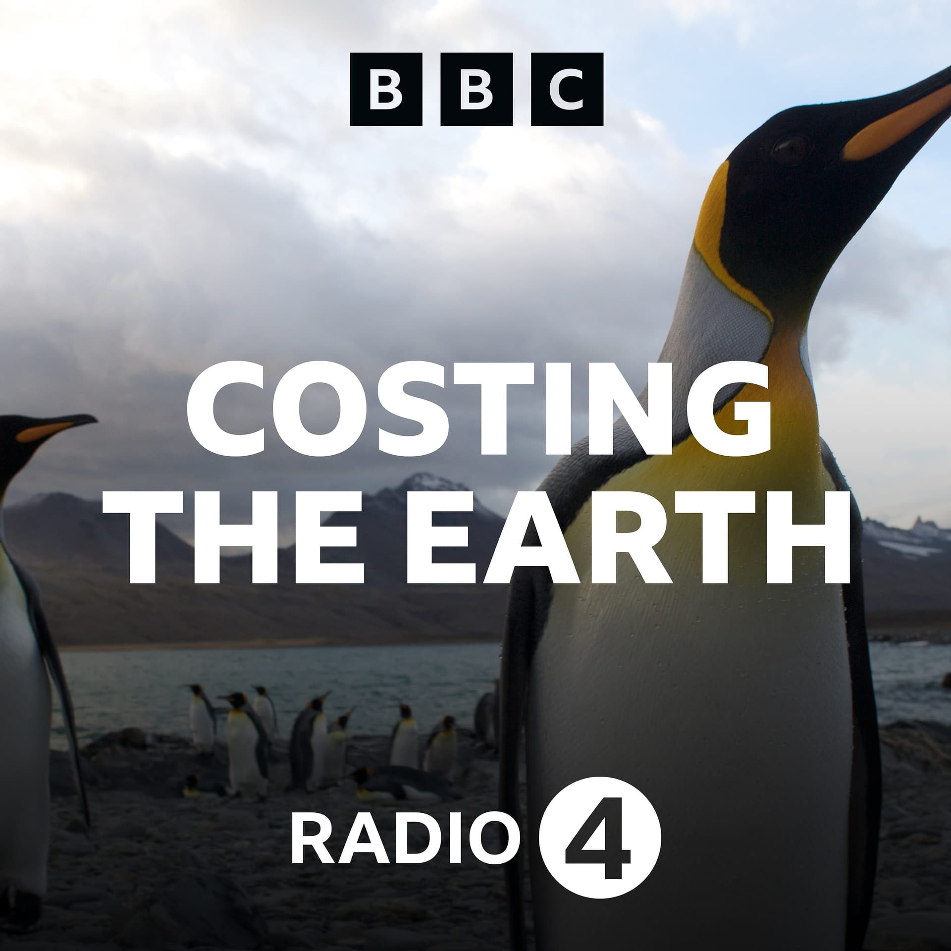 Costing the Earth cover