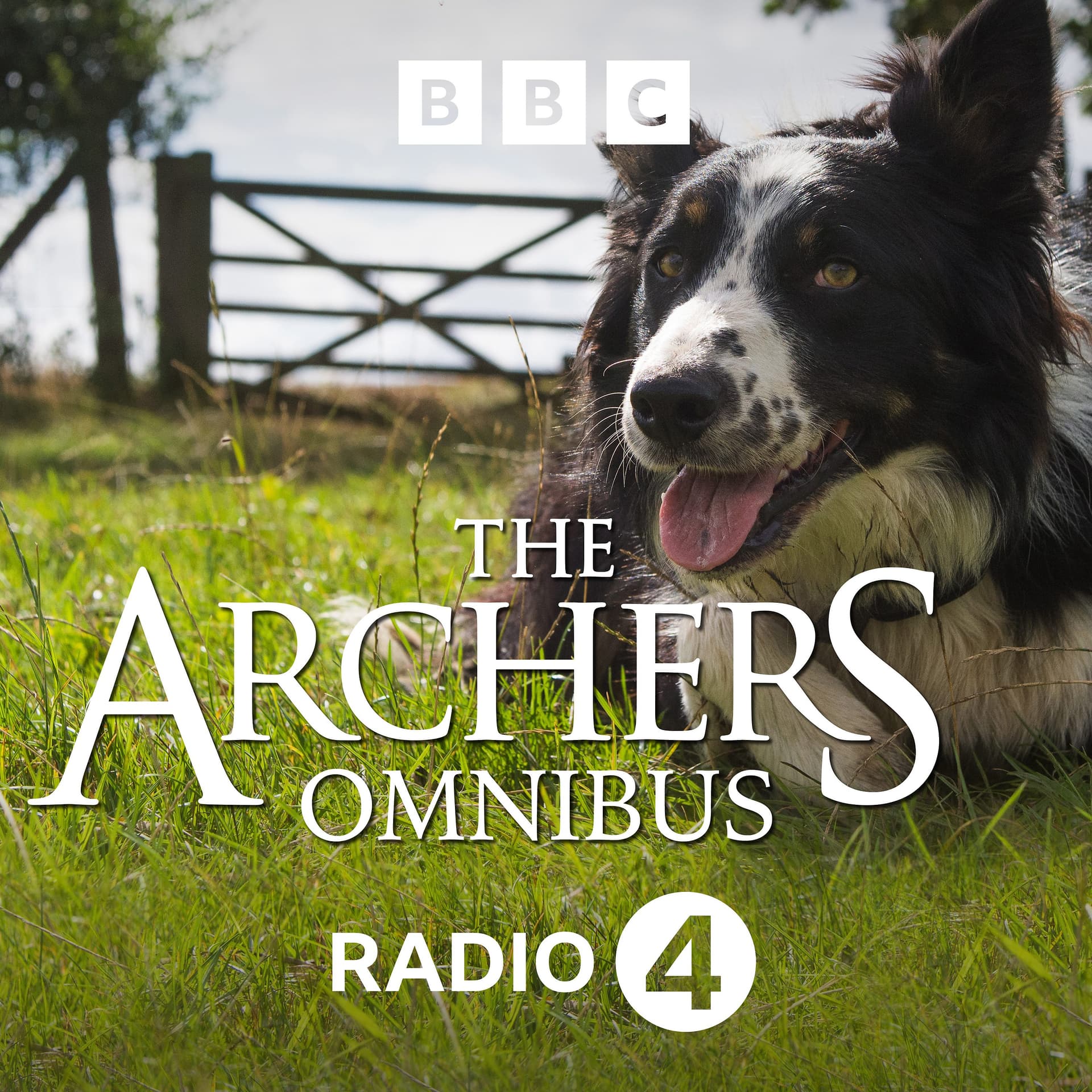 10/08/2025 - The Archers Omnibus cover
