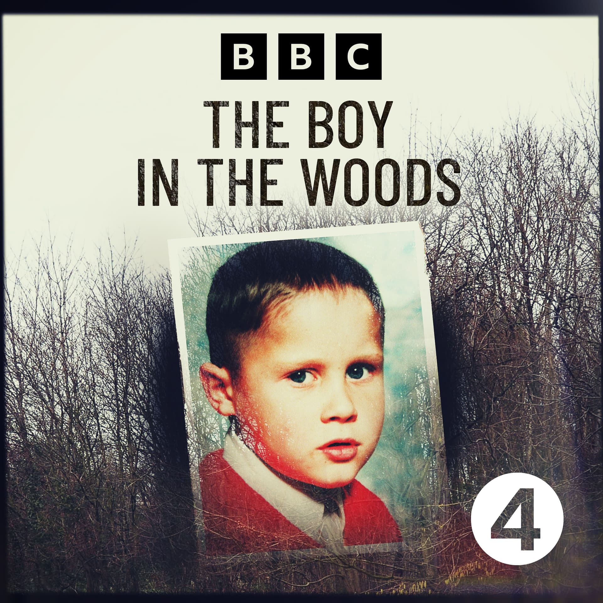 The Boy in the Woods cover