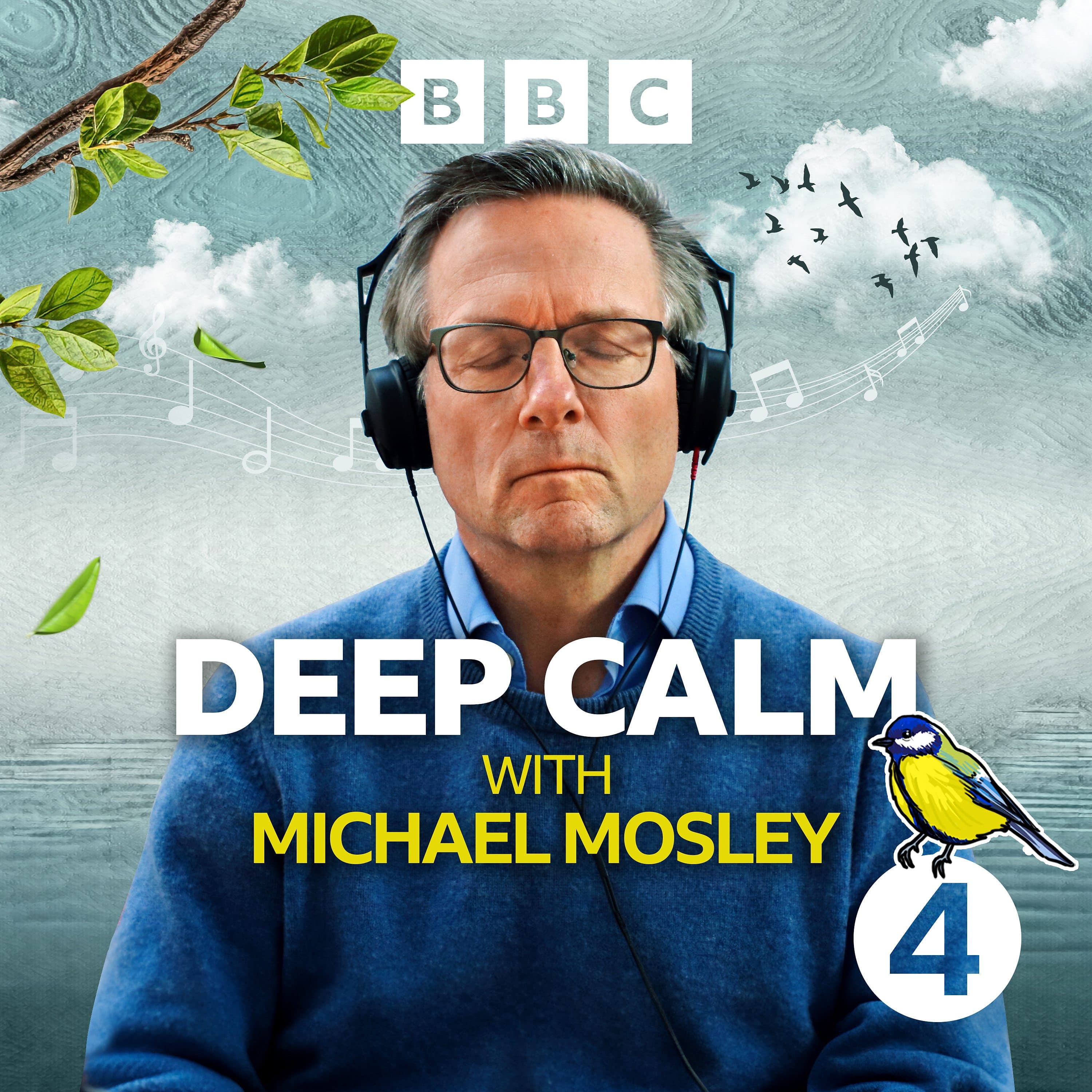 Deep Calm - Ep 3: Using Your Imagination - Just One Thing - with Michael Mosley cover