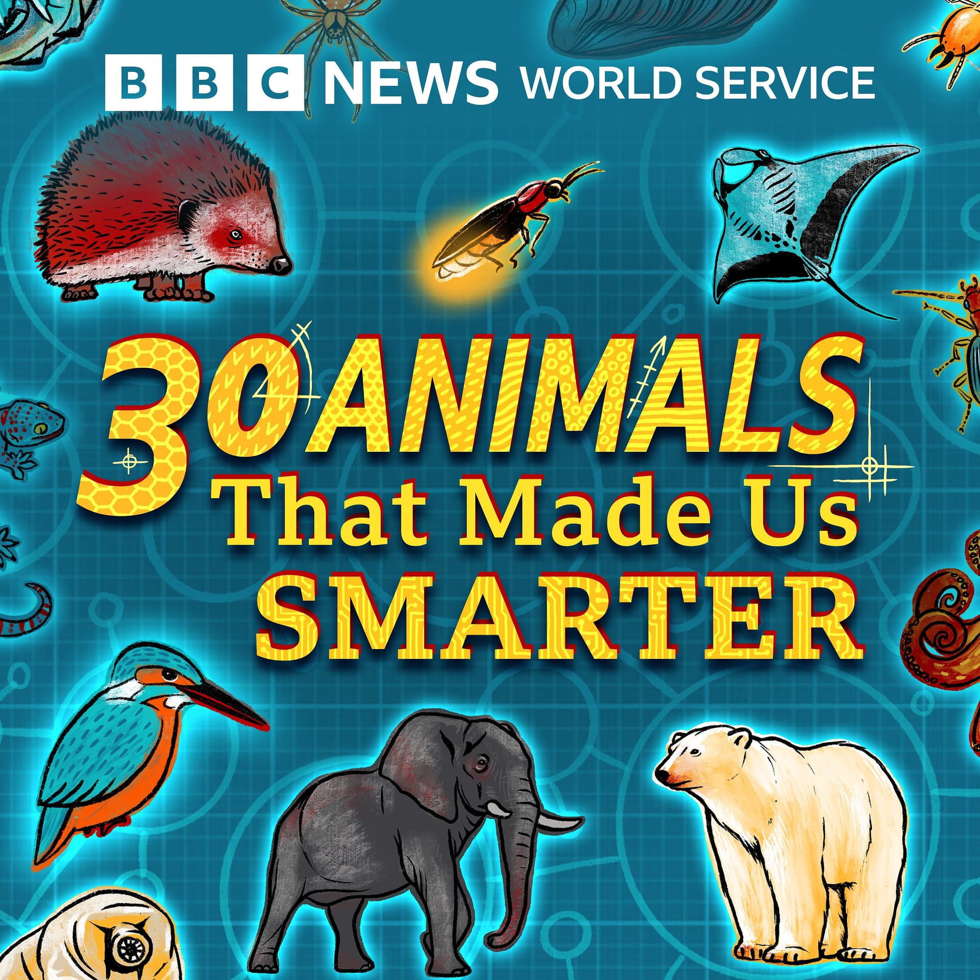 Manta ray and pollution solution - 30 Animals That Made Us Smarter cover