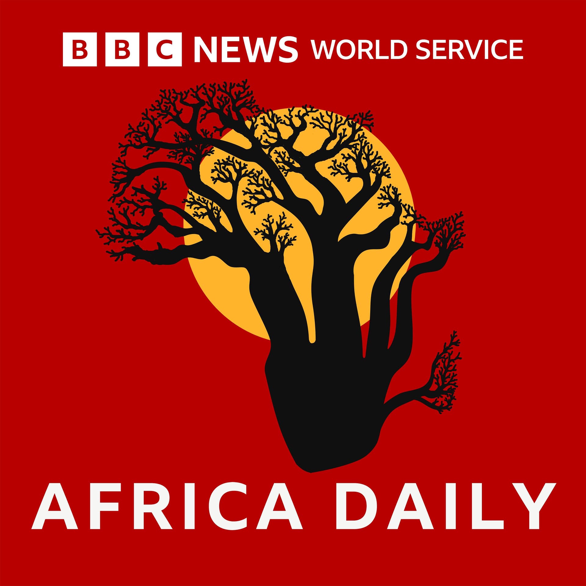 Africa Daily cover