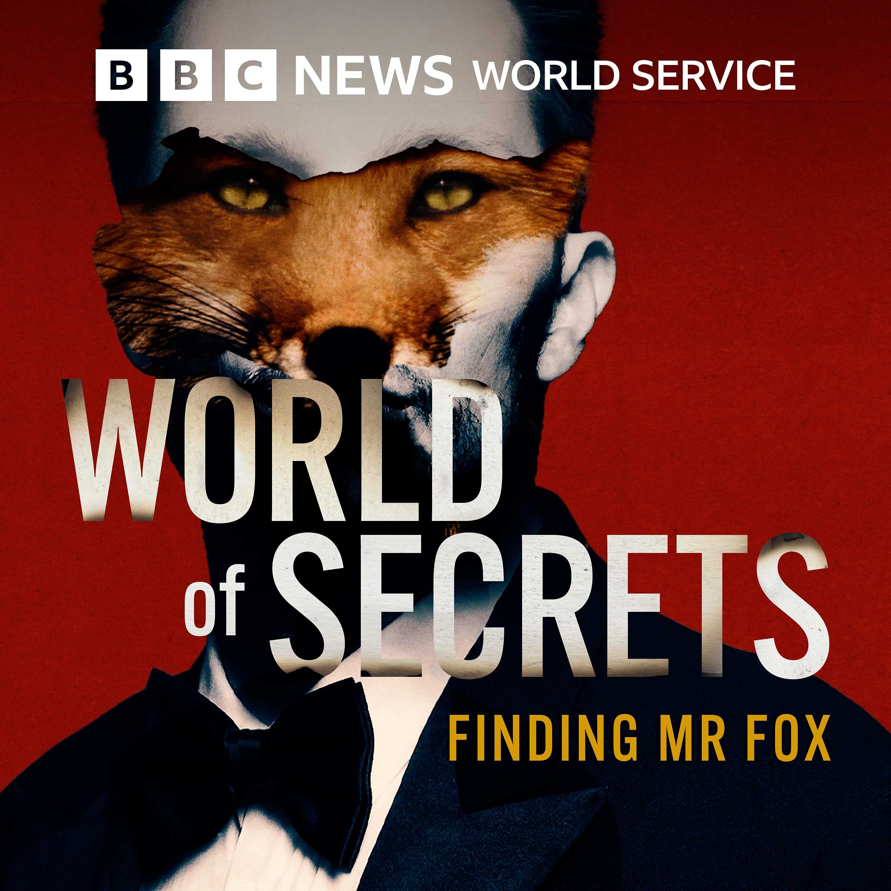 Finding Mr Fox: 3. Highway 10 - World of Secrets cover