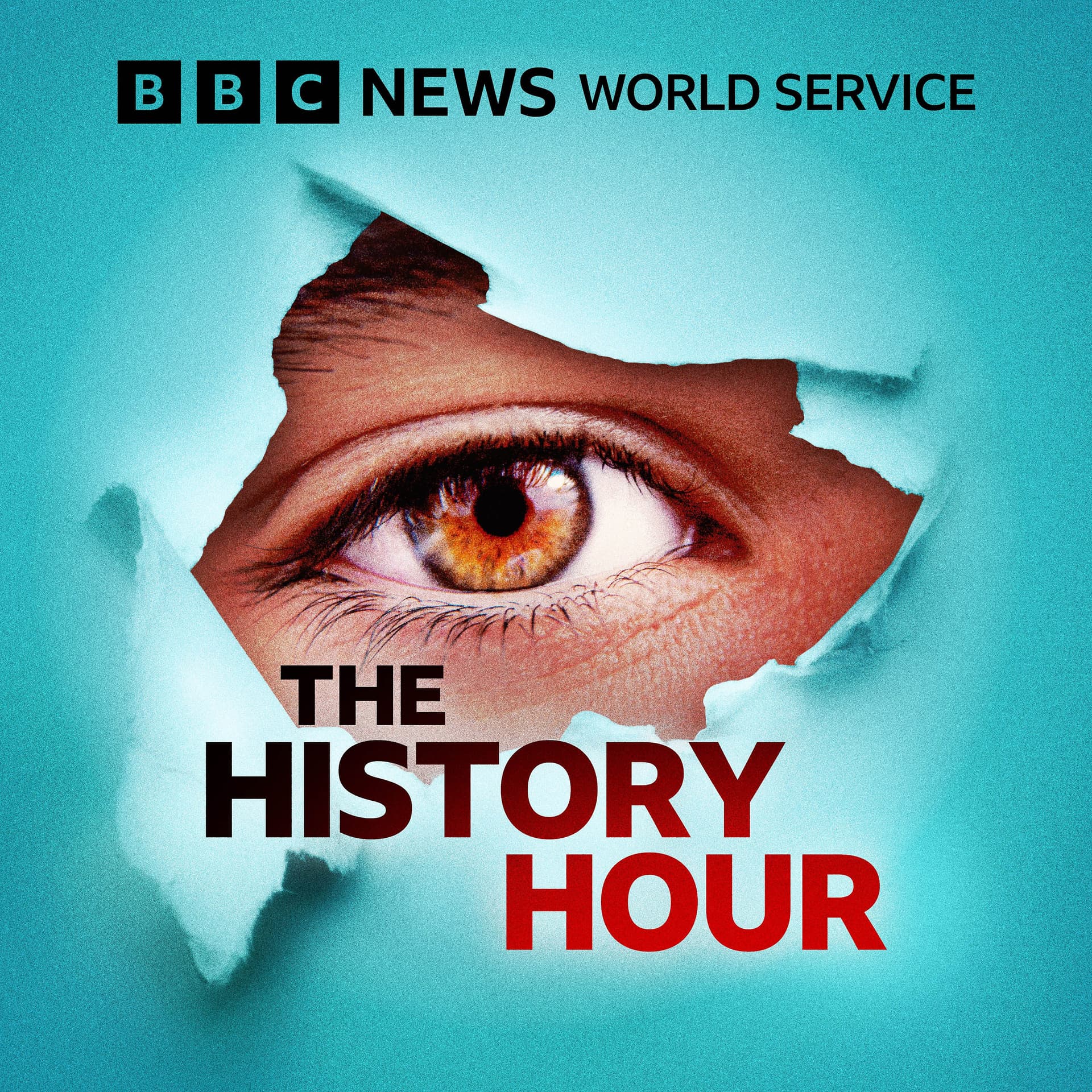 The History Hour cover