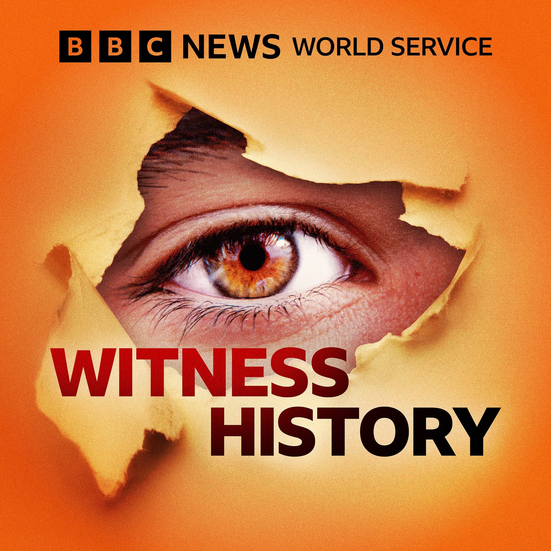 Witness History cover