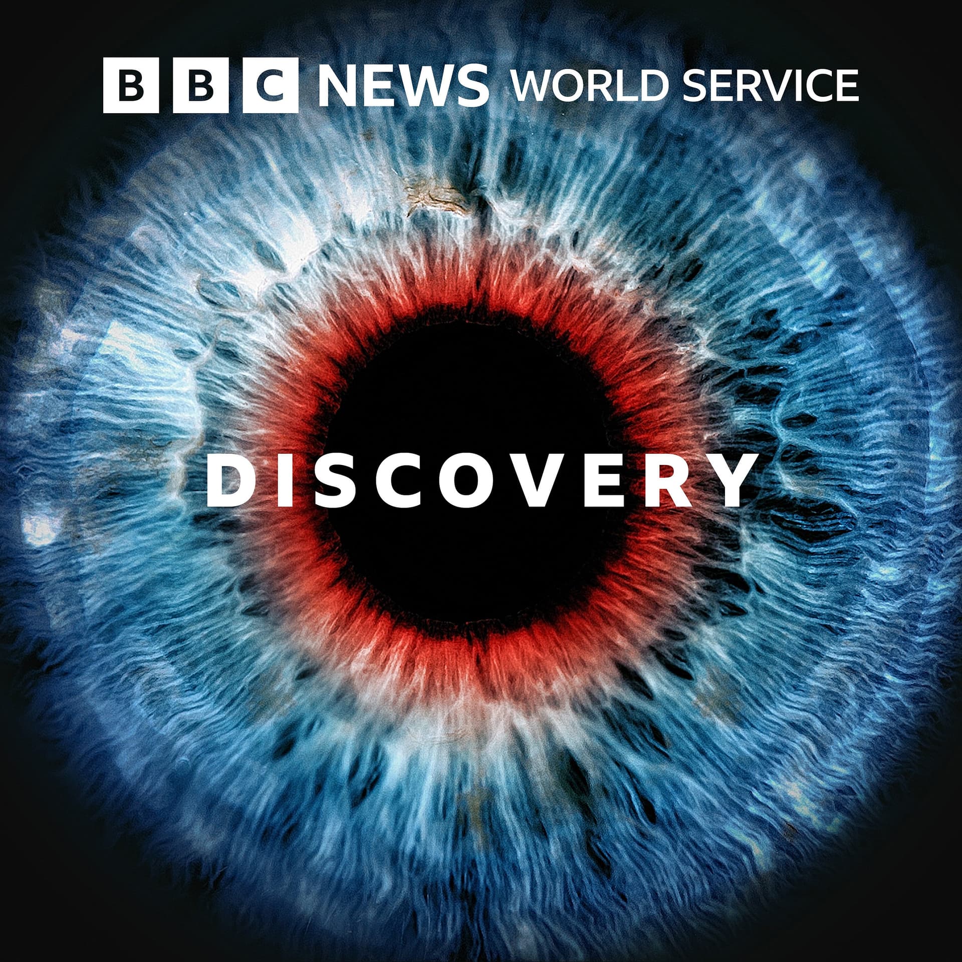 End of Drug Discovery - Discovery cover