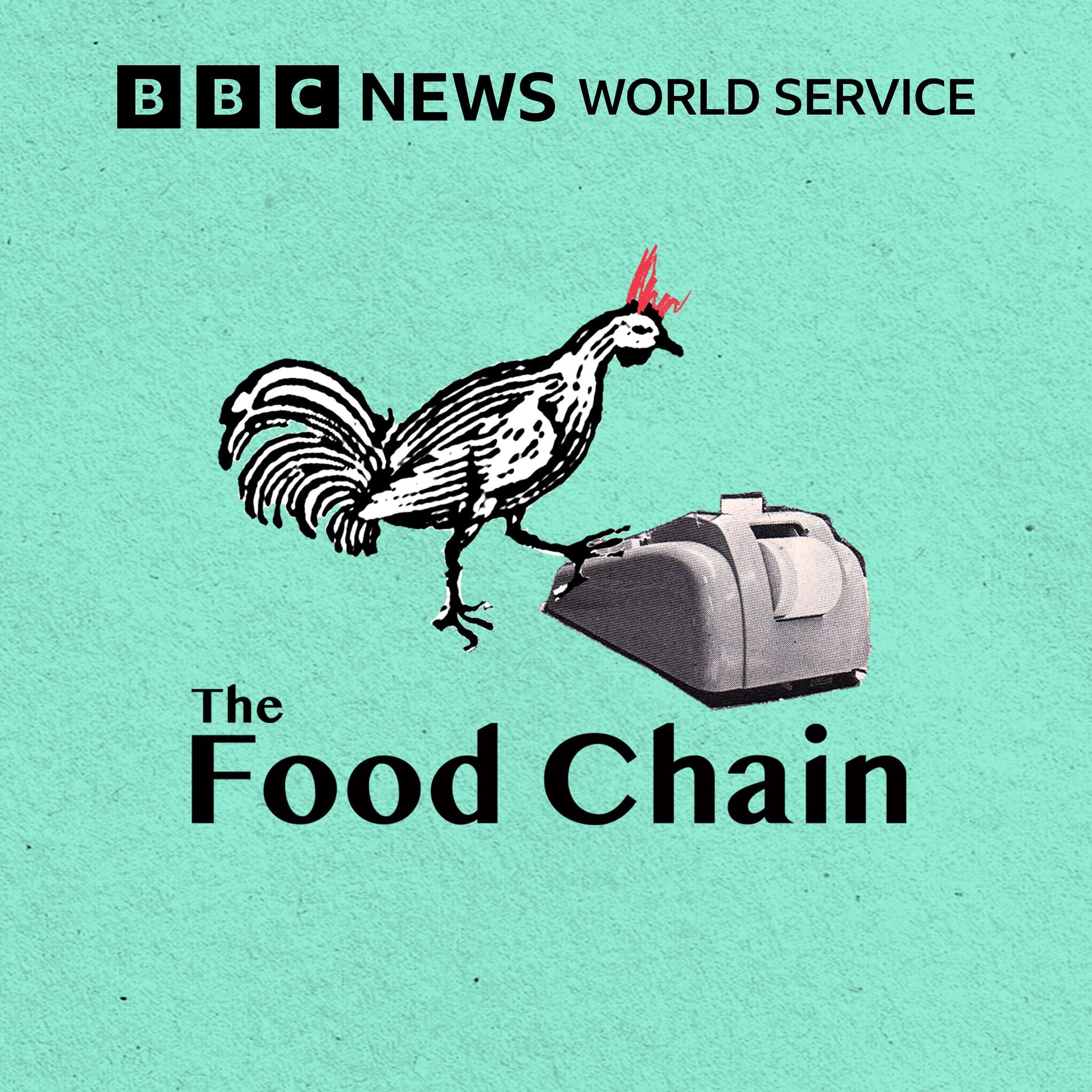The Cold Chain - The Food Chain cover