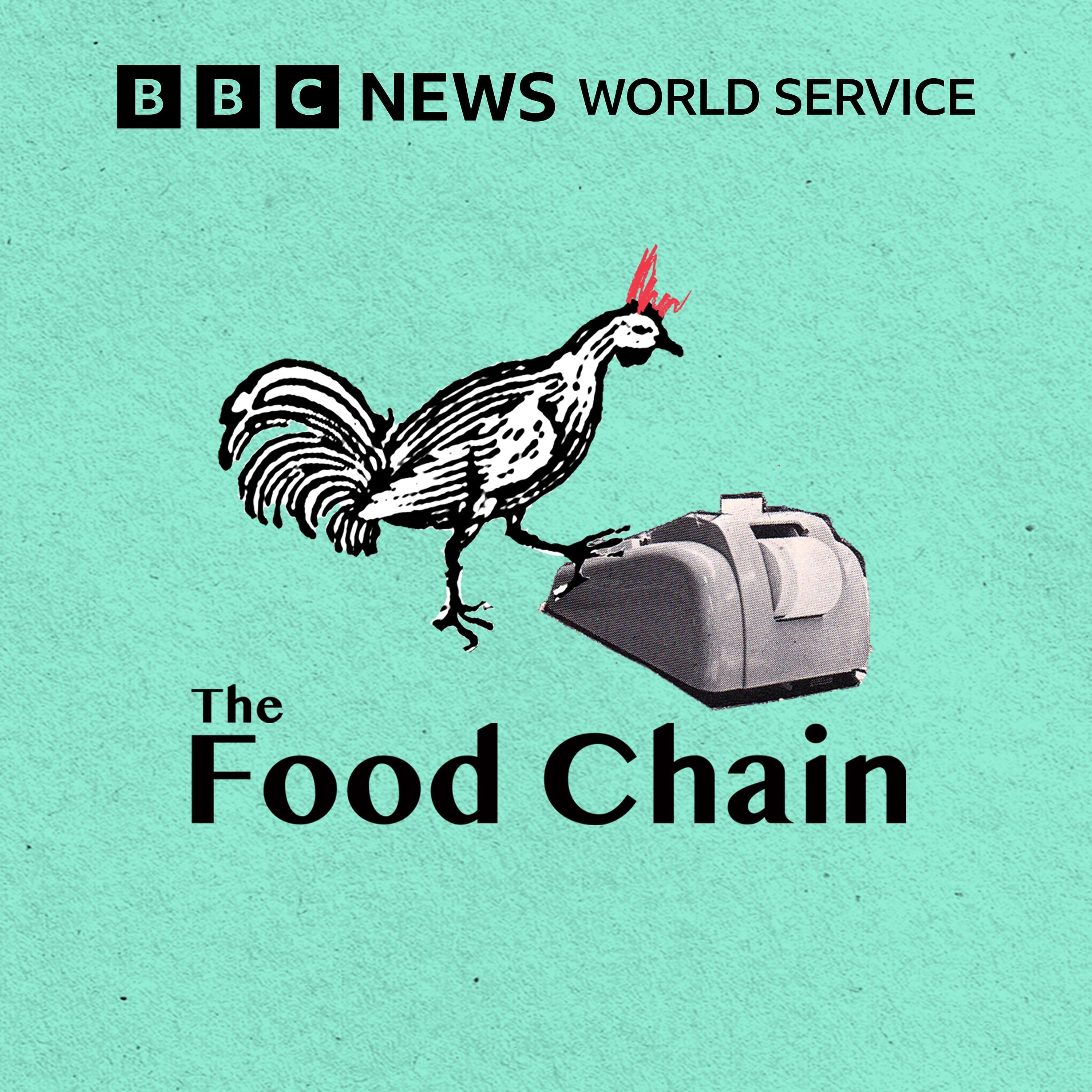 The Cold Chain - The Food Chain cover
