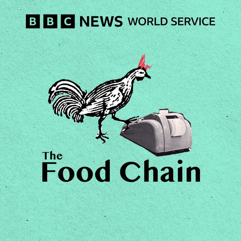 The Food Chain cover