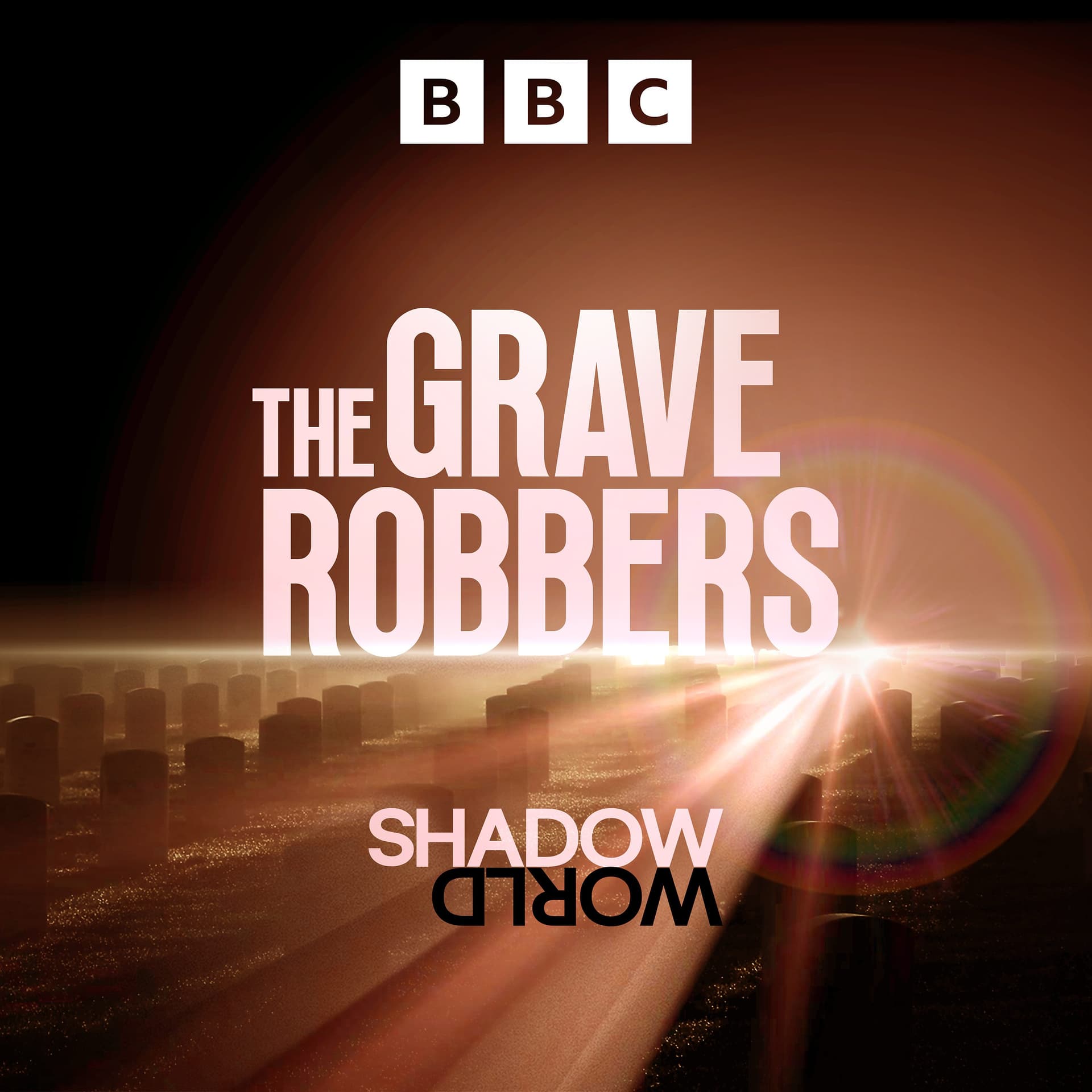 The Grave Robbers: 4. The Will to Steal - Shadow World cover