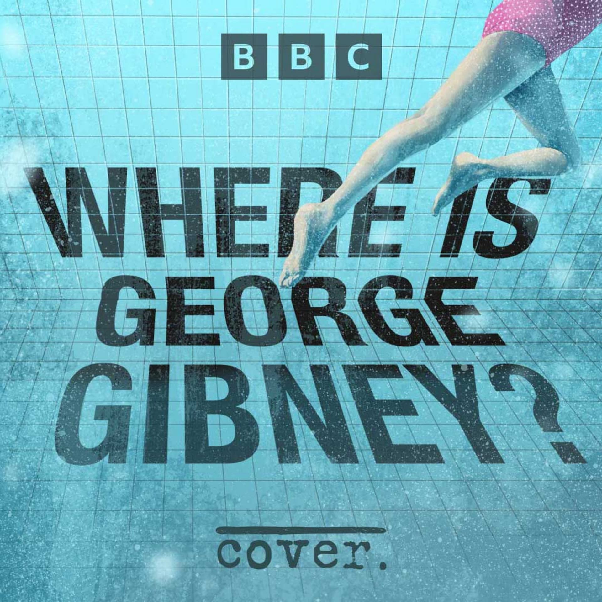 12. Case Update: George Gibney Arrested in Florida - Cover cover
