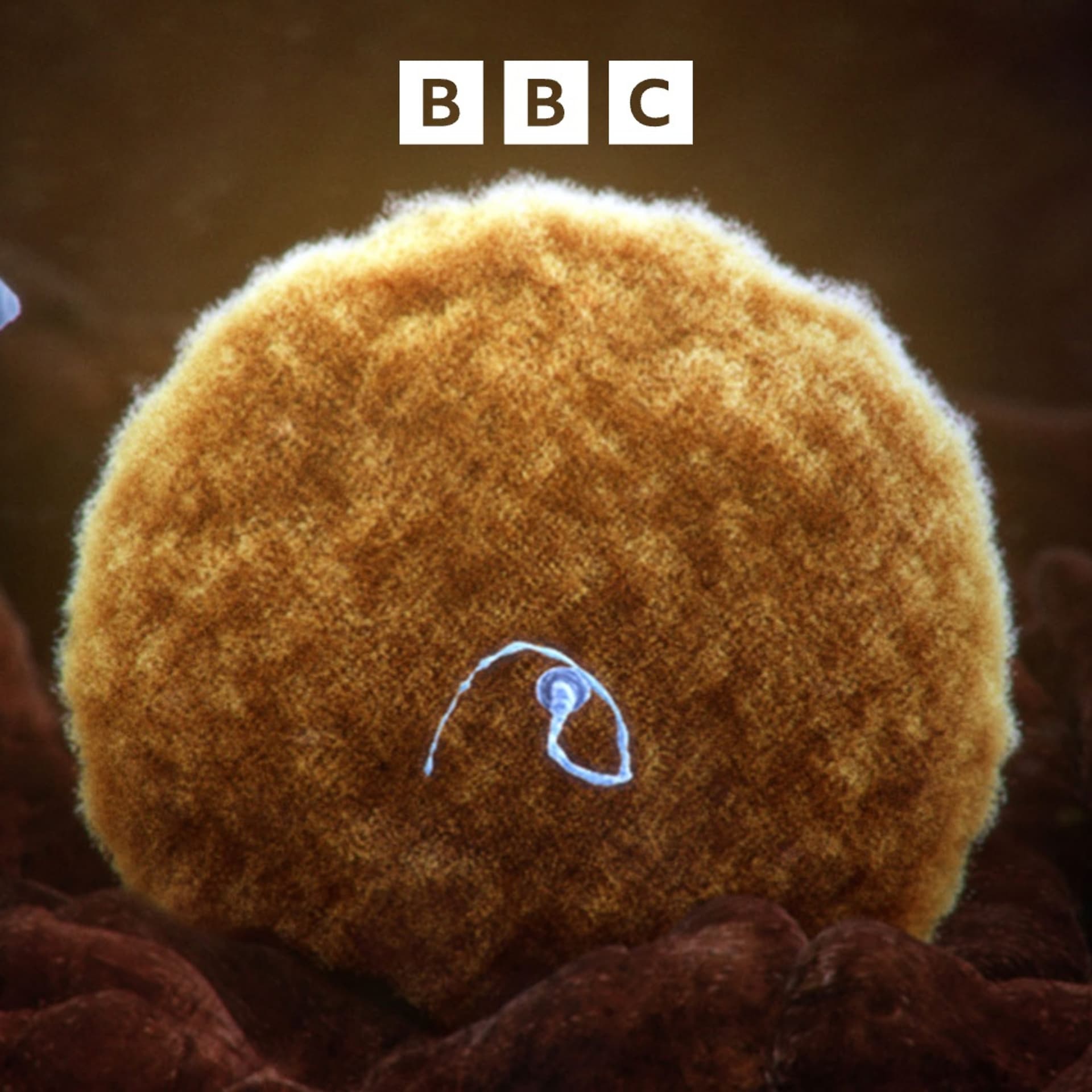 Cancer-causing gene found in donor sperm across Europe — Global News Podcast cover