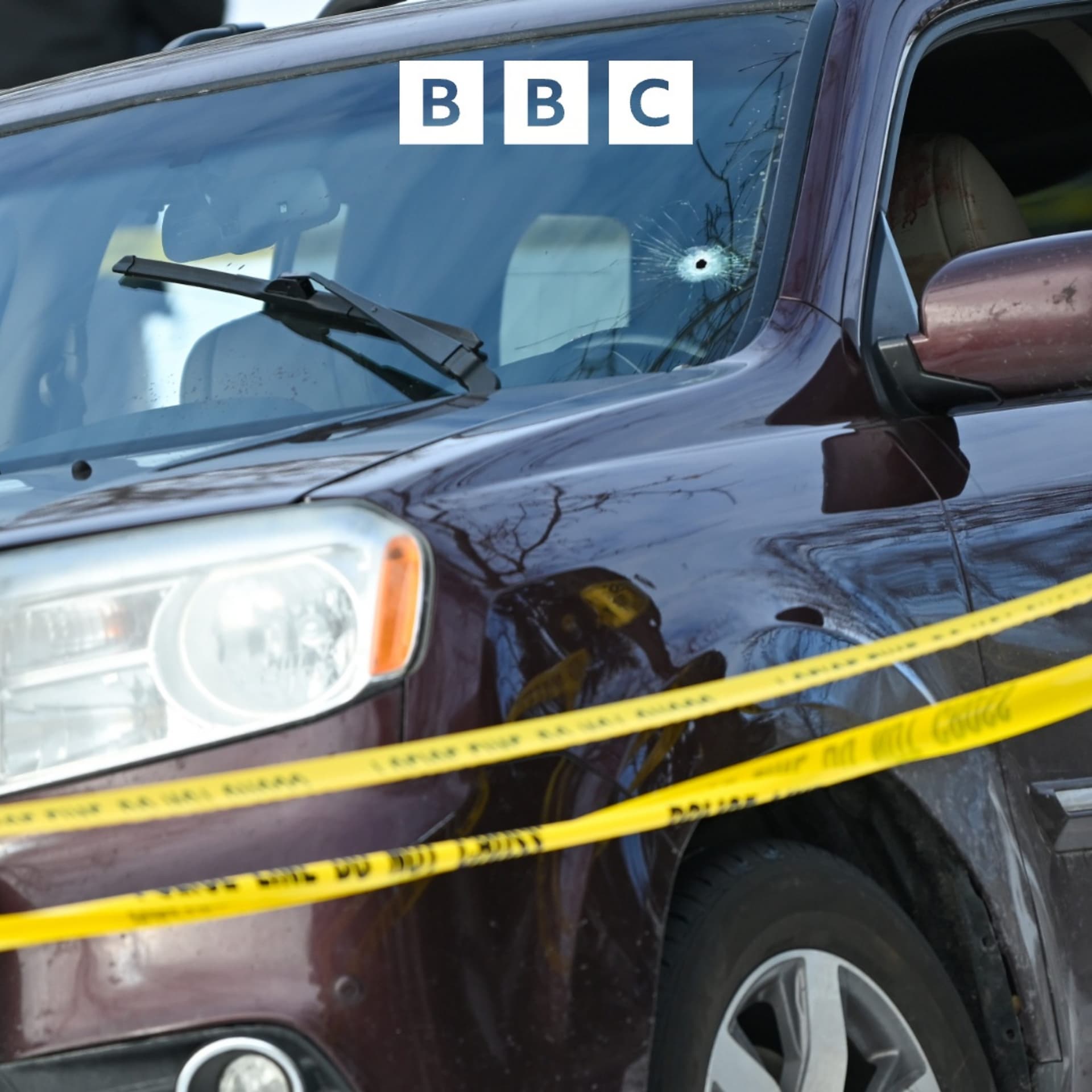 Woman shot dead by US immigration agent — Global News Podcast cover