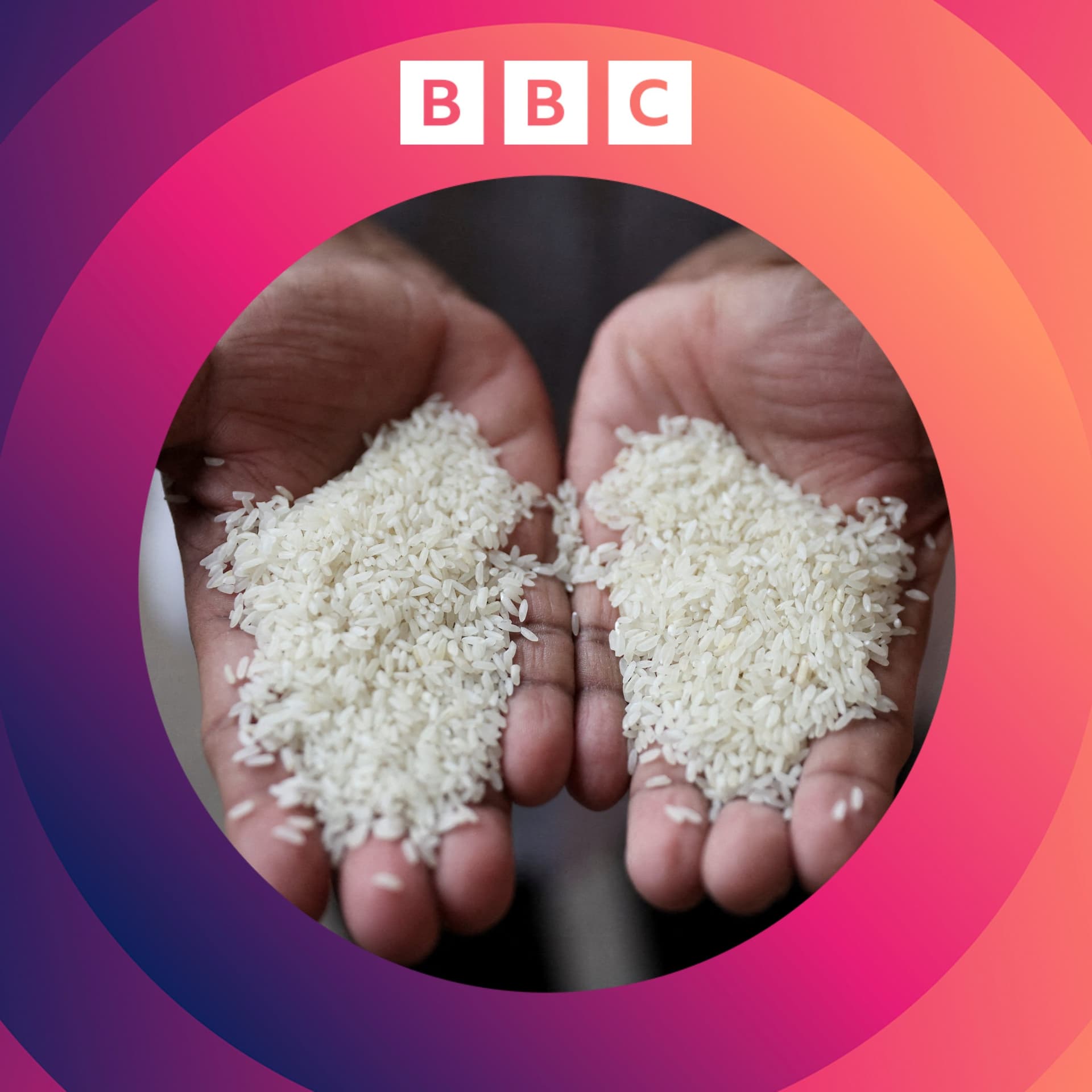 Could ancient rice seeds help fight climate change? - The Climate Question cover