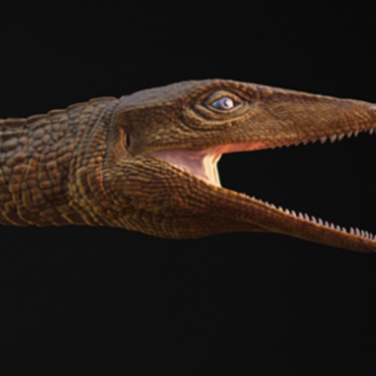 The Happy Pod:  Former teacher celebrated as a crocodile - Global News Podcast cover