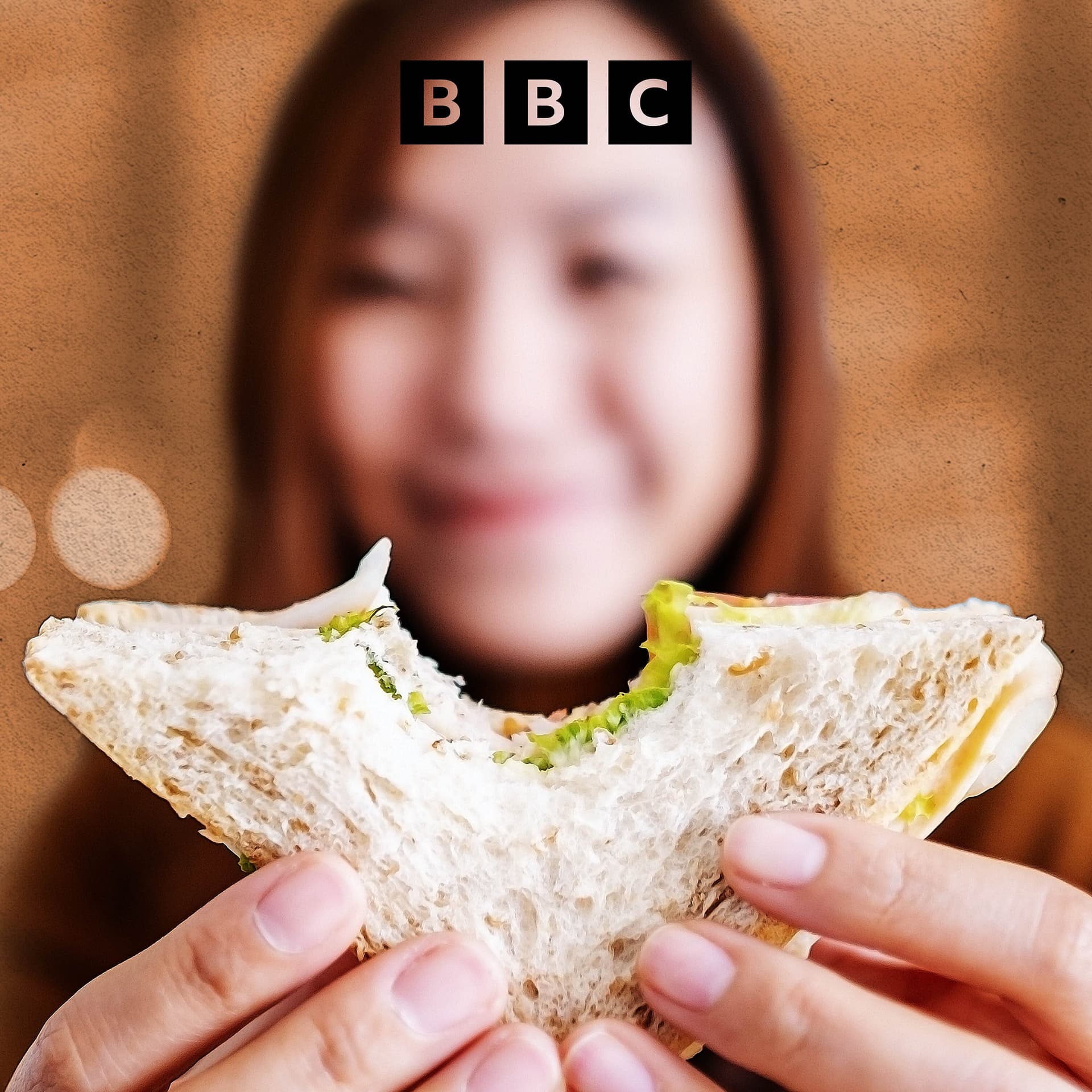 The story of the sandwich - The Food Chain cover