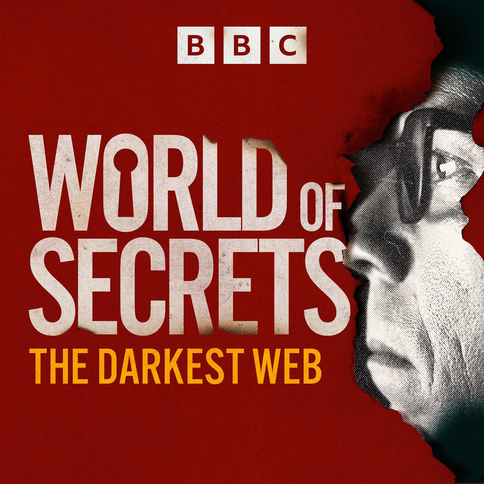The Darkest Web: 4. Undercover - World of Secrets cover
