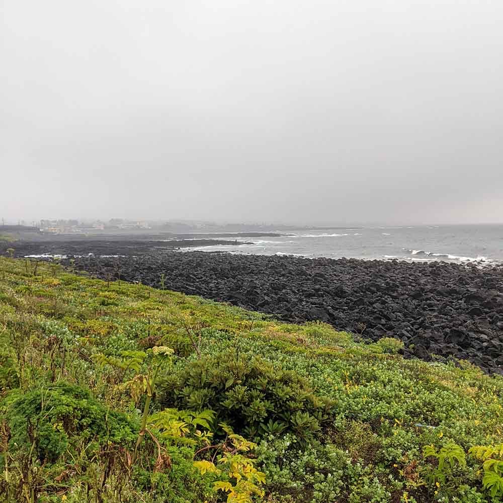 0168: Unrelatable writing tips - How To Write A Novel cover