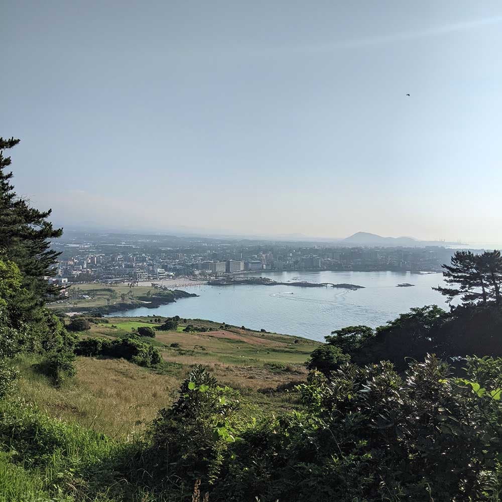 0169: The virtue of dog----ing - How To Write A Novel cover