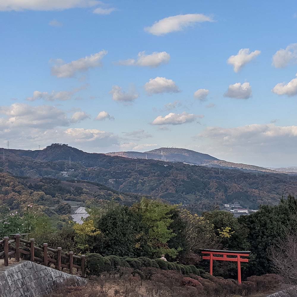 0173: Overflow - How To Write A Novel cover